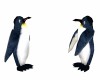 KQ Playing Penguins