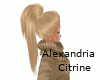 Alexandria - Citrine