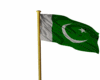 Pakistan flag animated