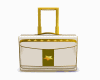 Diva Gold Luggage