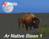 Ar Native Bison 1