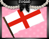 England Flag (M&F)