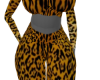 sexycat