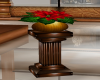 Poinsettia Plant & Stand