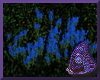 Req Blue Flowers Ground