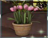 A3D* Vase Plant Tulip