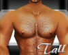 TALL MUSCLE BODY MALE