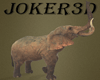 African elephant
