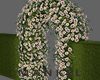 Hedge Arc Neutral