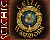 !!S Celtic Warrior