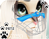 [Pets] Muzzle | Blue