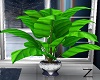 Z: Modern Escape Plant