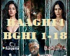 SR- Baaghi4Mix/ BGHI1-18