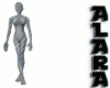 Mannequin Body