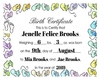 Custom Birth Certificate