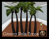 [xTx] Groovy Palm Trees