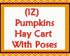 Pumpkins Hay Cart Poses