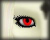 Kirara Eyes