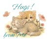 Kitten Hugs
