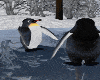 2 Animated Penguins