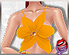[LD]DashielcGown