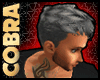 [COB] Bryan's Hair