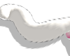 Fluffers Tail