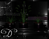.:D:.Dark Fairy Plants4