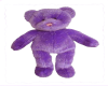 violet the sparkle bear