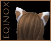 Brown & White Dog Ears