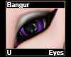 Bangur Eyes