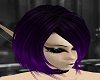 Pacis*sabryn purple hair