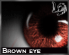 [LD] Brown eyes