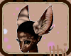 🌙 | Kakao Ears 2