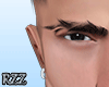 Shark Brows