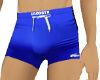 boxer beach bleu