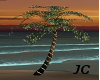 JC LIghted Palm Tree
