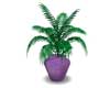 POTTED PLANT 1