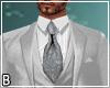 Silver 3 Piece Suit