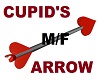Cupid's Arrow M/F