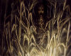 Horror In The Corn