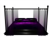 Purple & Black Pvc Bed