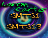 Aaron Carter - SMTS
