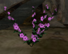 (T)Lilac Hibiscus