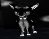 Ashes the baby deer