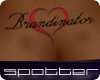 [SDC]Brandinator TS
