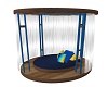 Cool Dream Canopy Bed