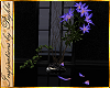 I~Elegant Violet Plant