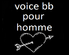 voice bb homme
