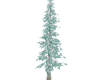 Tall Pine Tree Christmas